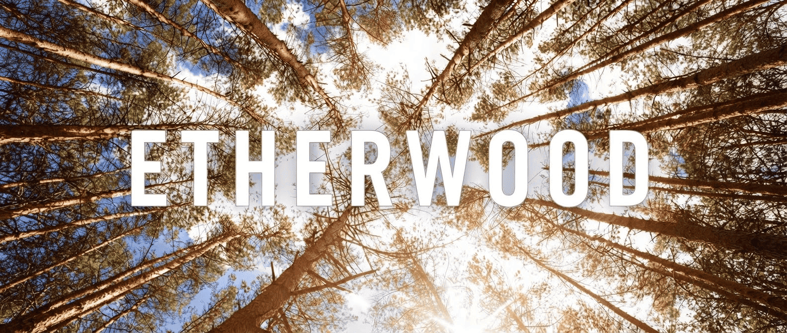 Website Header